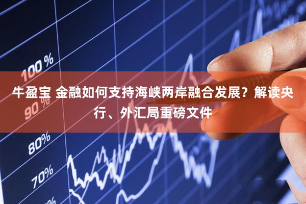 牛盈宝 金融如何支持海峡两岸融合发展？解读央行、外汇局重磅文件