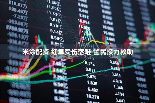 米涂配资 红隼受伤落难 警民接力救助