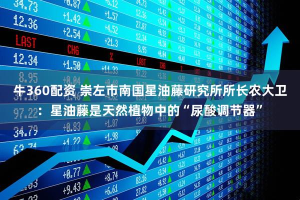 牛360配资 崇左市南国星油藤研究所所长农大卫：星油藤是天然植物中的“尿酸调节器”