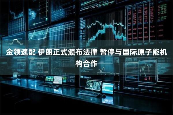 金领速配 伊朗正式颁布法律 暂停与国际原子能机构合作