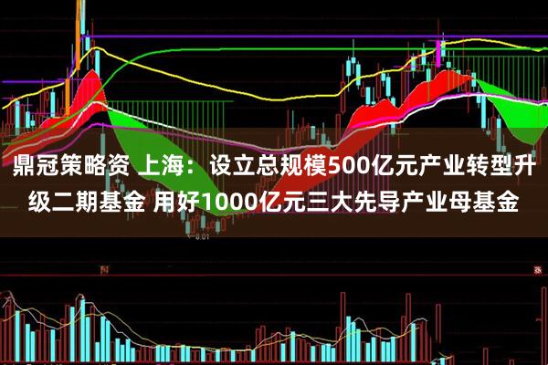 鼎冠策略资 上海：设立总规模500亿元产业转型升级二期基金 用好1000亿元三大先导产业母基金