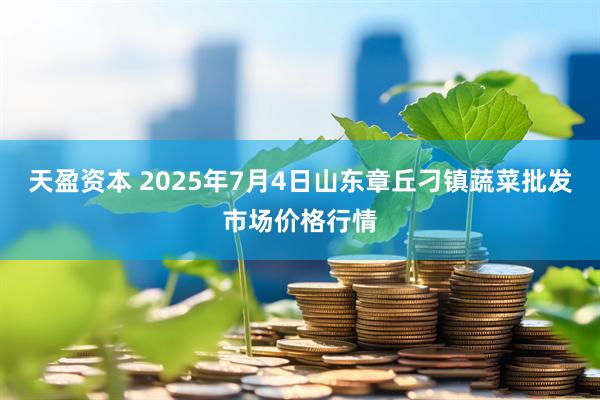 天盈资本 2025年7月4日山东章丘刁镇蔬菜批发市场价格行情