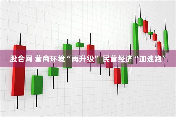 股合网 营商环境“再升级” 民营经济“加速跑”